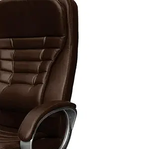 Furniture Ergonomic Office Chair | Computer Chair Best for Work from Home | Home & Office Ergonomic Chair with Advanced Mechanism